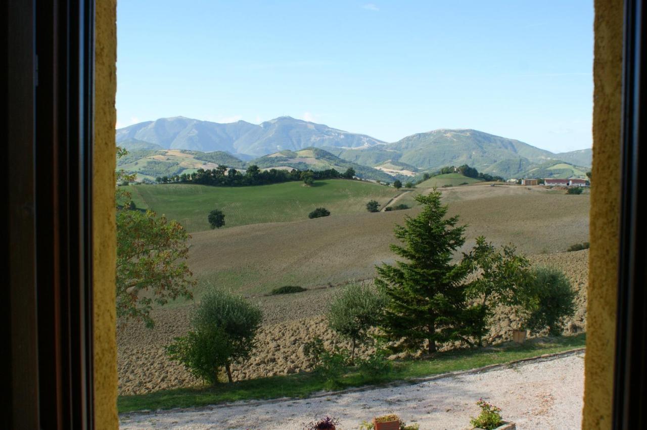 B&B Fox'S Hill Urbania Buitenkant foto