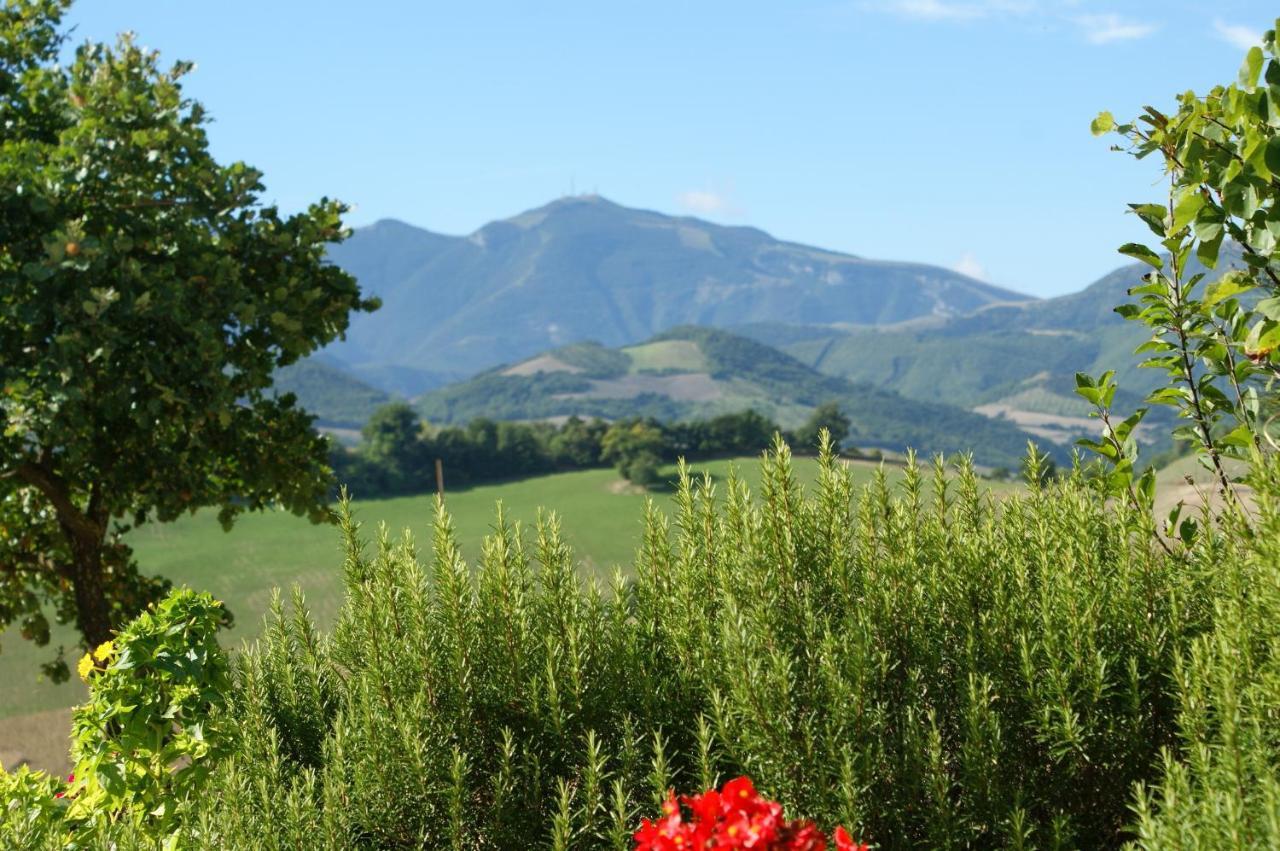 B&B Fox'S Hill Urbania Buitenkant foto